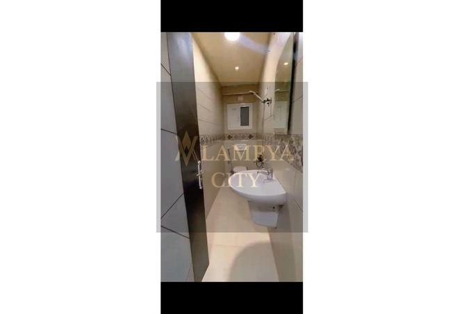 8090478 - Property Image 3