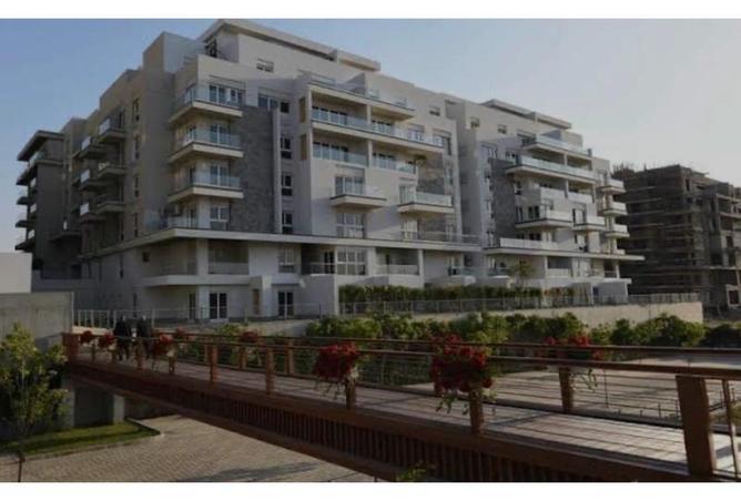 8156583 - Property Image 2