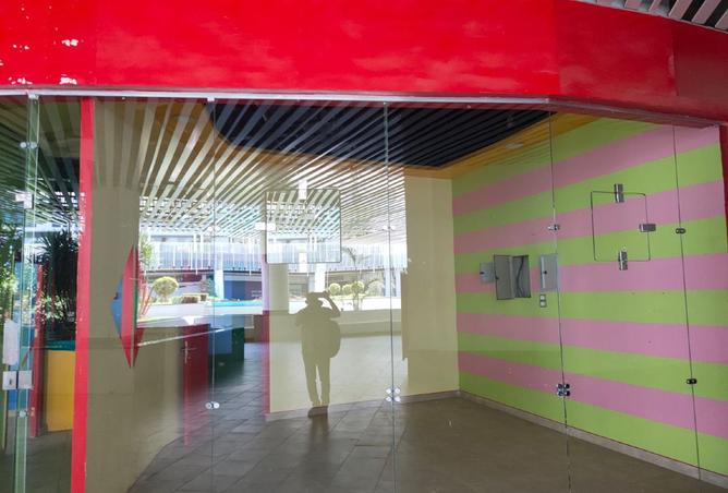 8196771 - صورة العقار 2