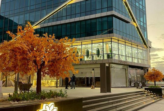 8529940 - صورة العقار 3