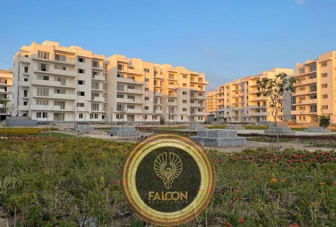 8263567 - Property Image 3