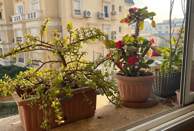 8510260 - Property Image 3