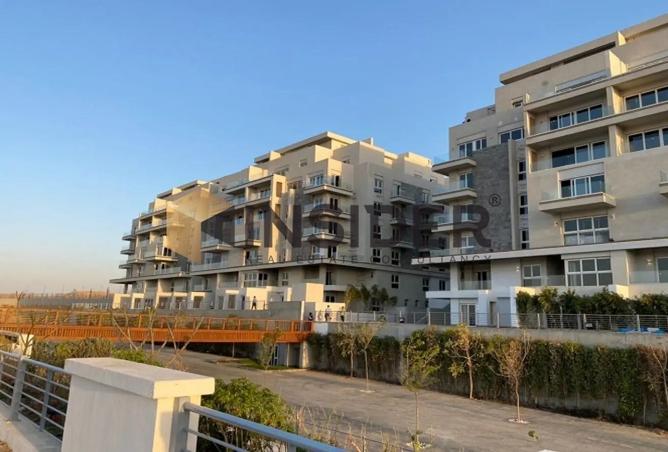 8129091 - Property Image 3