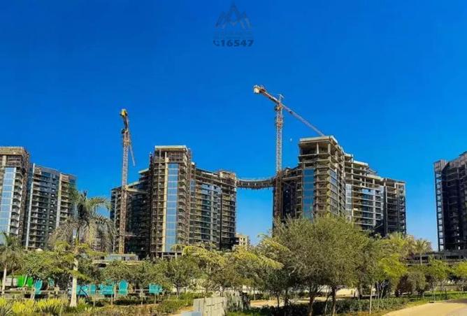 7979972 - Property Image 3