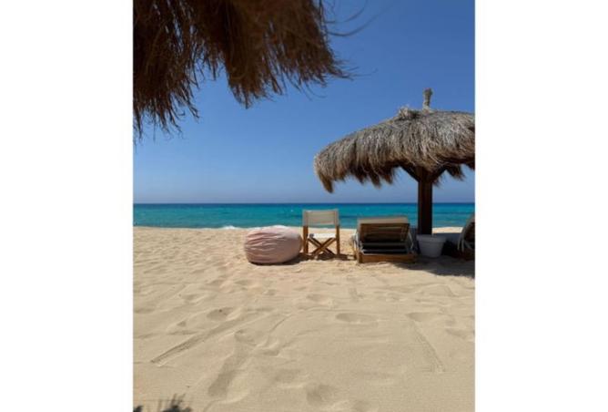 8155967 - صورة العقار 2