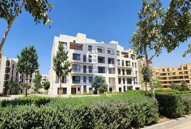 8026926 - Property Image 3