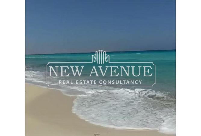 7920210 - Property Image 3