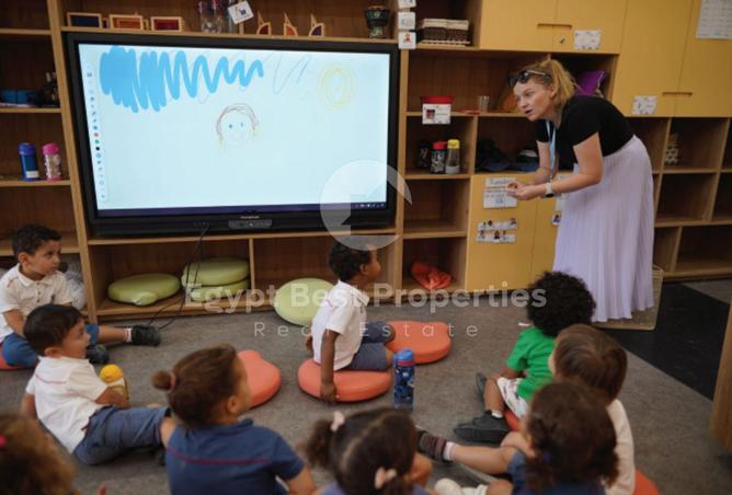 8167035 - Property Image 3