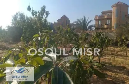 قطعة أرض - استوديو للبيع في المنصورية - حي الهرم - الجيزة