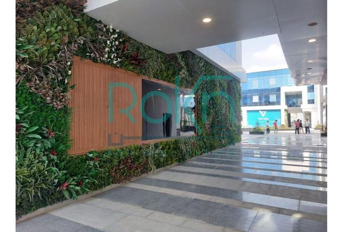 8217206 - الصورة الرئيسية للعقار