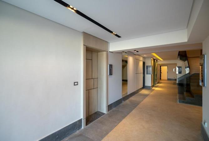 8117616 - Property Image 2