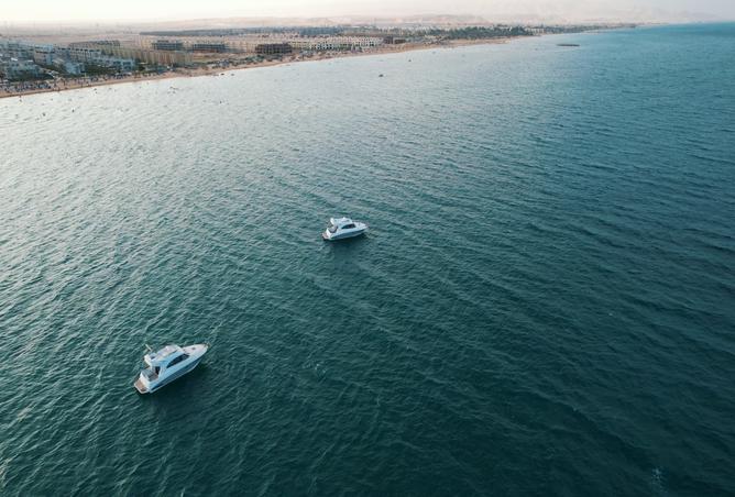 7973991 - صورة العقار 2