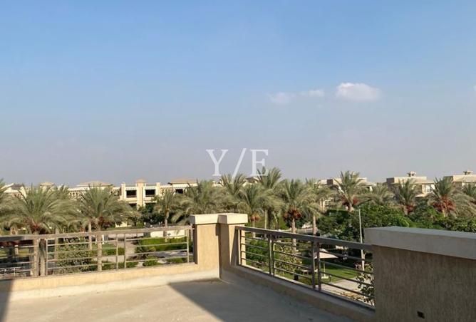 8165974 - Property Image 3