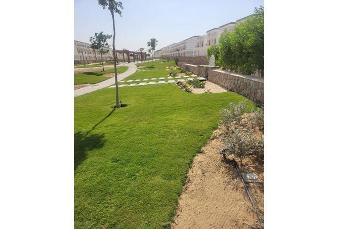 8156134 - صورة العقار 3