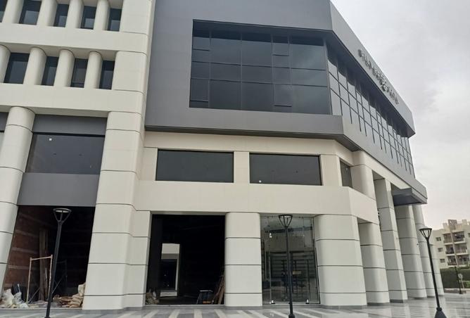 8337614 - Property Image 3