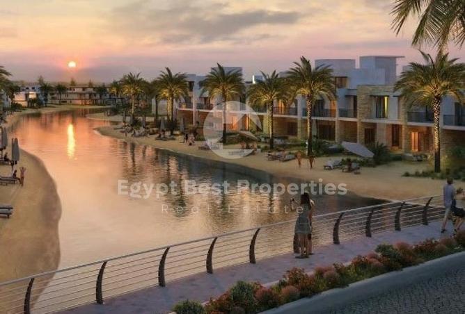 8451698 - Property Image 3