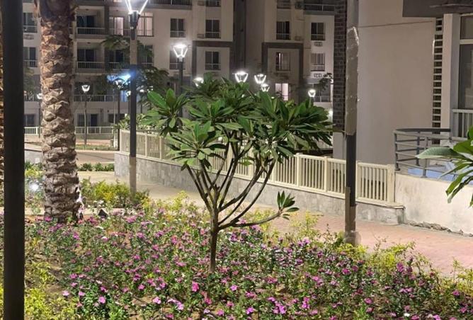 8182320 - Property Image 2