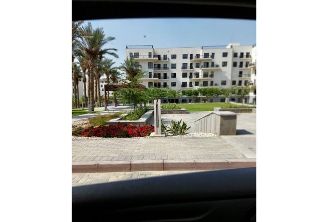8086173 - Property Image 3