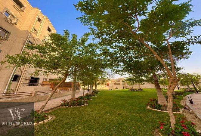 7930141 - صورة العقار 3