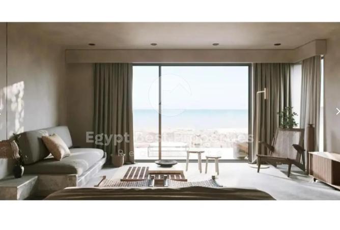 8295119 - صورة العقار 3