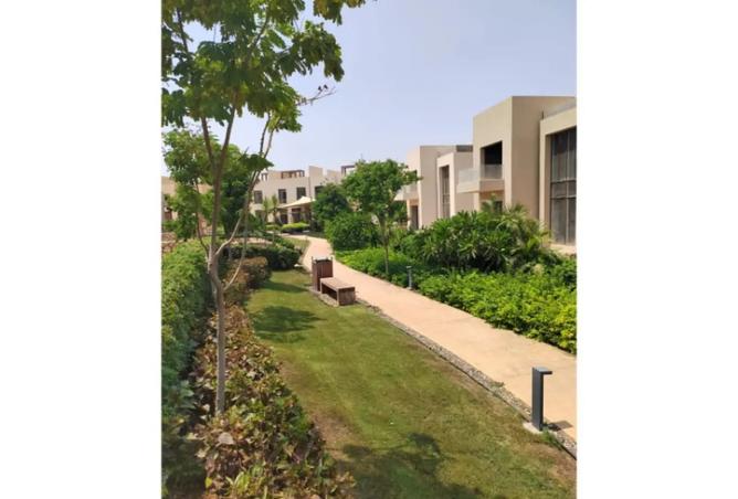 8074539 - Property Image 3