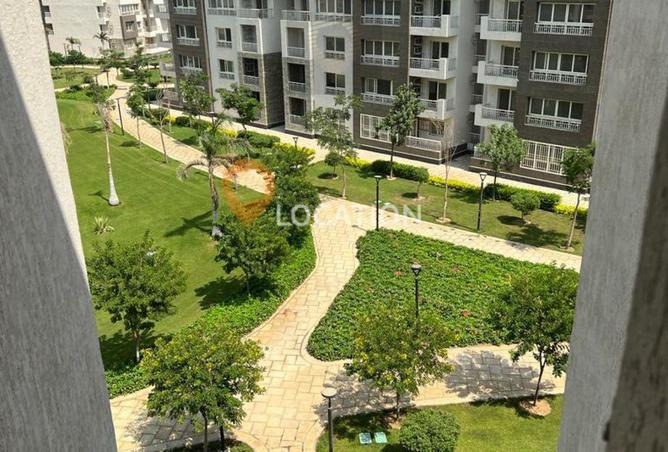 8173128 - صورة العقار 3