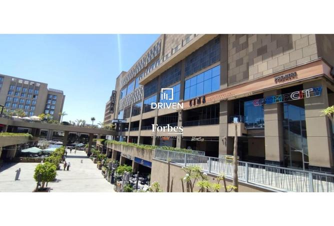 8032323 - Property Image 3