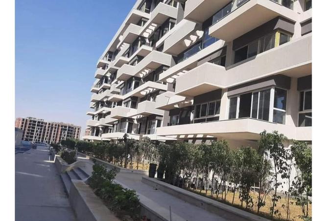 7902697 - Property Image 2