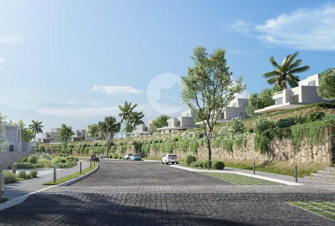 8161074 - Property Image 3