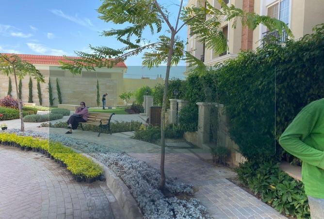 8390654 - Property Image 3