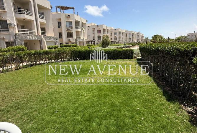 8165130 - Property Image 3