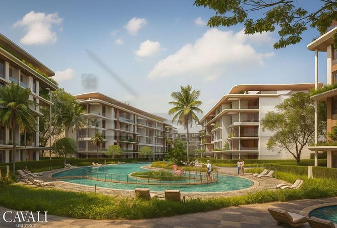 8211293 - Property Image 2