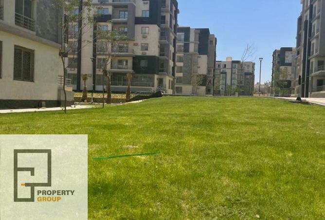 8293194 - Property Image 2