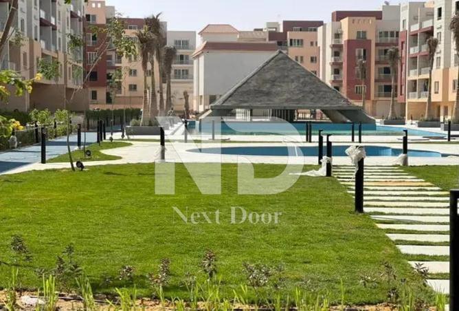 7941926 - صورة العقار 3