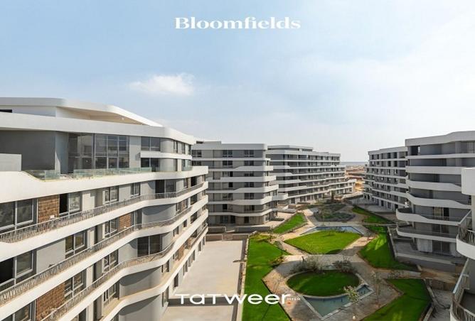 8152470 - Property Image 3