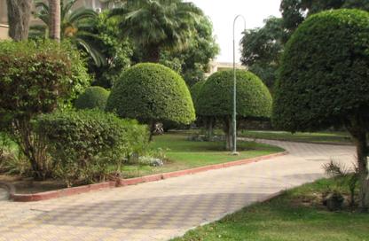 Villa - 6 Bedrooms - 6 Bathrooms for sale in El Korba - Heliopolis - Masr El Gedida - Cairo