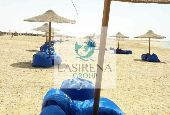 8416727 - Property Image 3