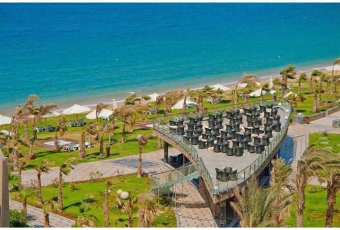 8462676 - صورة العقار 3