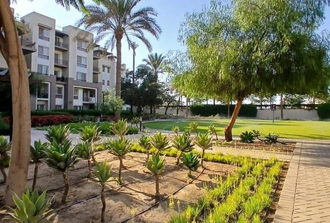 8180935 - صورة العقار 3