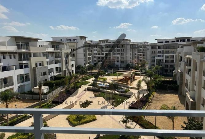 8081565 - صورة العقار 3