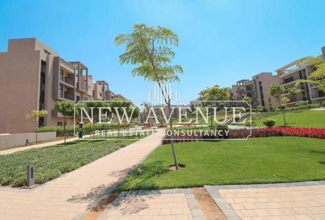 8150654 - صورة العقار 3