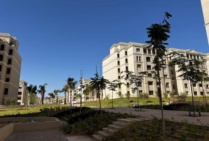 8176437 - صورة العقار 2