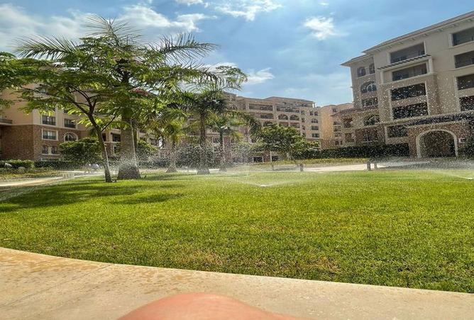 7915887 - صورة العقار 3