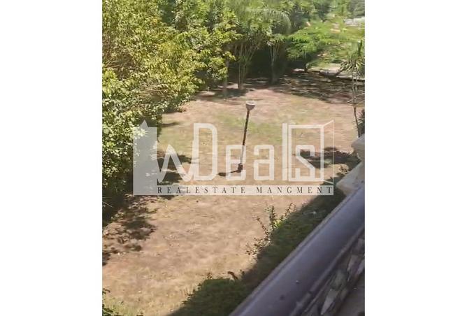 8029575 - صورة العقار 2