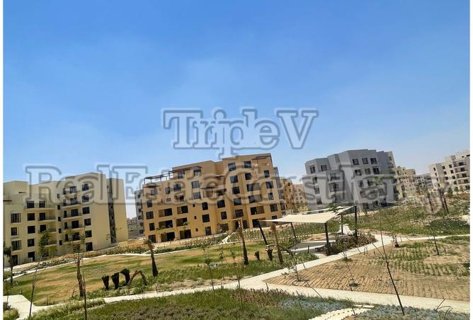 7969308 - Property Image 3