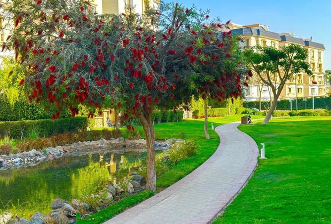 8239962 - صورة العقار 2