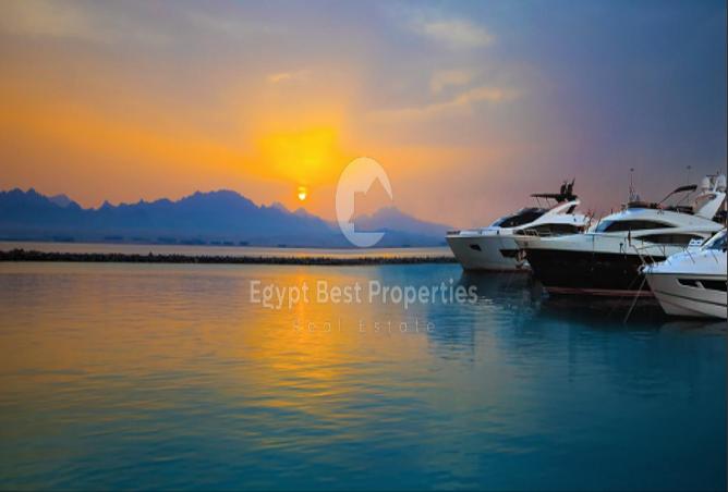 7975239 - Property Image 3