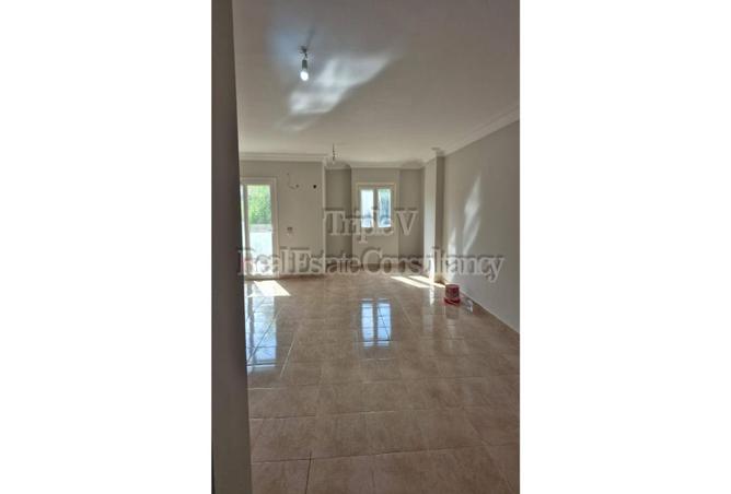 7987265 - Property Image 3