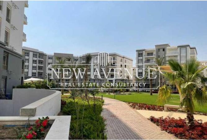 8136437 - Property Image 3