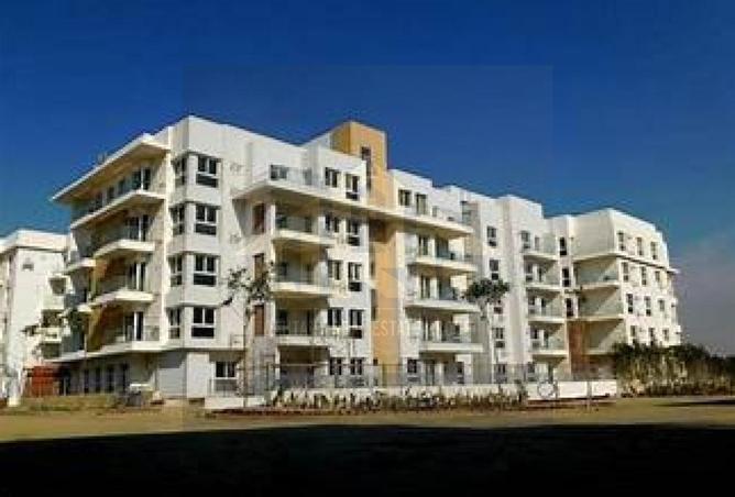 7918943 - Property Image 3